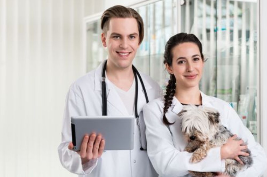 A Symphony of Care: Pet Medication Pharmacy Services